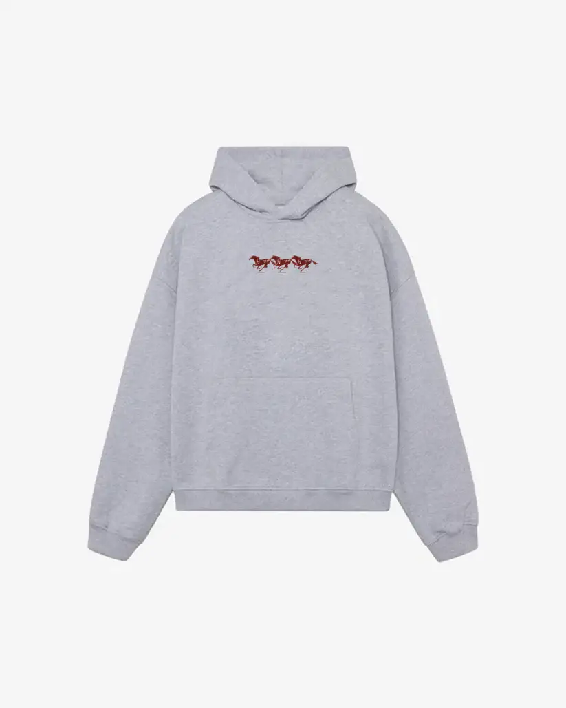 Coramisa Racer Hoodie (2)